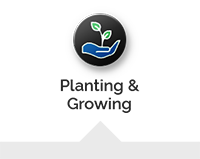 Planting & Growing